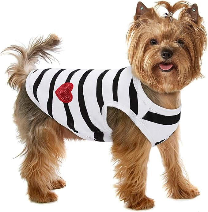 PET APPEAL AND FASHION